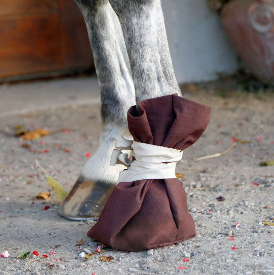 Afbeeldingen van Klauwzak linnen 37cm.