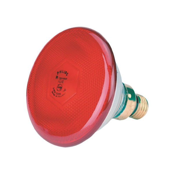 Afbeeldingen van Warmtelamp Philips 175w. rood