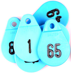 Afbeeldingen van Halsplaatje blauw no.51t/m75