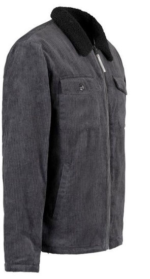 Afbeeldingen van Winterjas Storvik Calgary Corduroy, Teddy, grijs