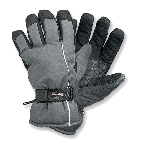 Afbeeldingen van Skihandschoen grijs/zwart