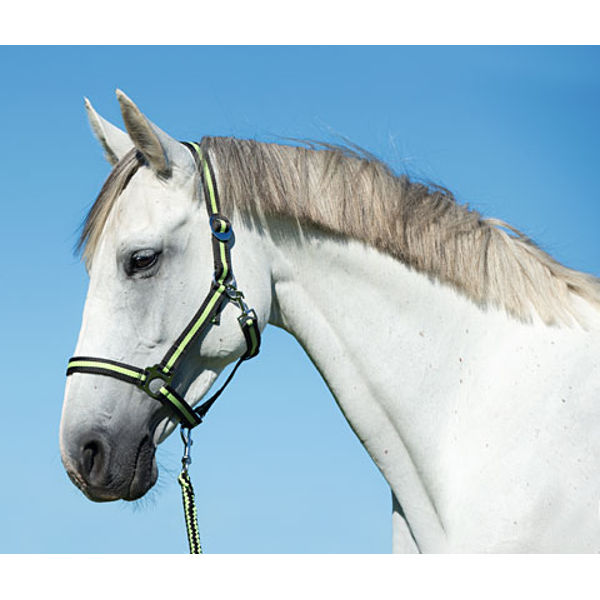 Afbeeldingen van Hippo halster antra/lemon-1 - Pony