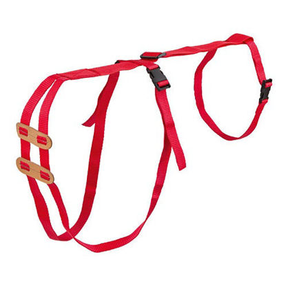 Afbeeldingen van Lijfbieder-bandage (prolapsbandage) voor schapen