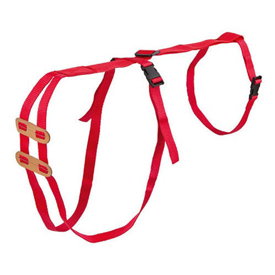 Afbeeldingen van Lijfbieder-bandage (prolapsbandage) voor schapen