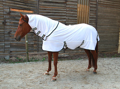 Afbeeldingen van Vliegendeken RugBe SuperFly WIT- 165/215 cm