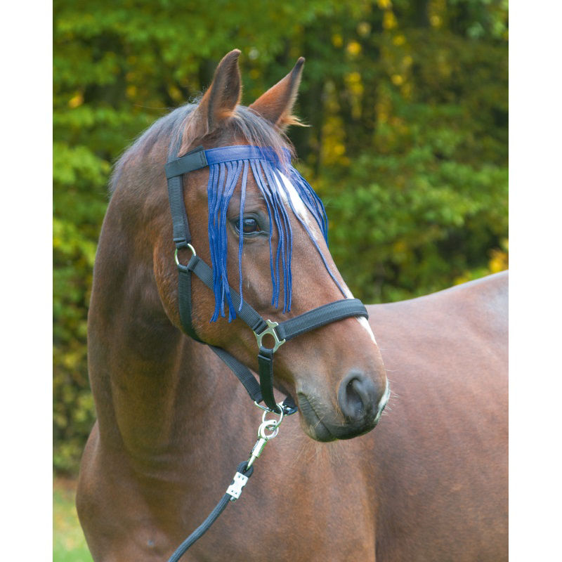 Afbeeldingen van Vliegenfrontriem Nylon, MARINE, Cob