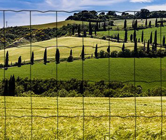 Afbeeldingen van Gaas, Gardenplast LIGHT groen- 0.81m x 10m.