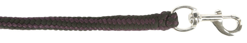 Afbeeldingen van Voorbrenglijn met musketon HIPPO - PE aubergine/antraciet