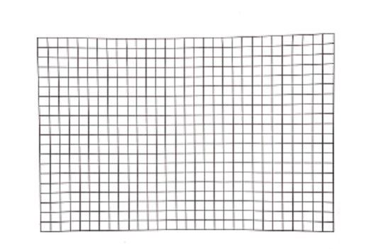 Afbeeldingen van Bologna draadpaneel 5x5cm x 150cm x 80cm RAL 7016 antraciet