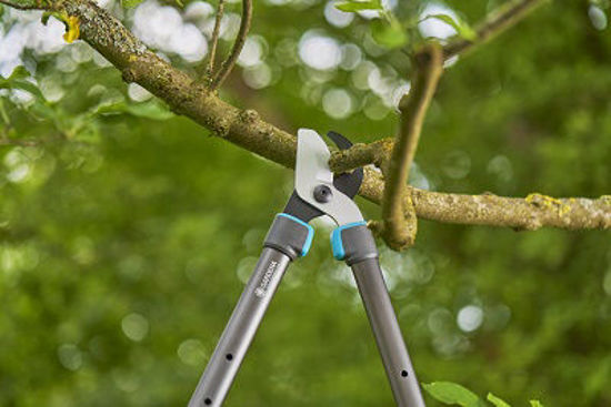 Afbeeldingen van Gardena Takkenschaar TeleCut pro S.