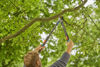 Afbeeldingen van Gardena Takkenschaar TeleCut pro S.