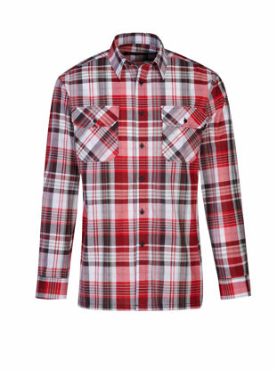 Afbeeldingen van Blouse katoen LM Storvik EGERSUND dessin 5.1.