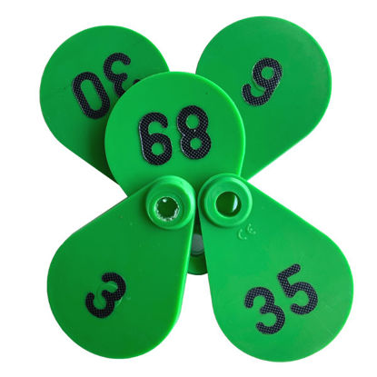 Afbeeldingen van Flexi nekplaatje groen set à 25