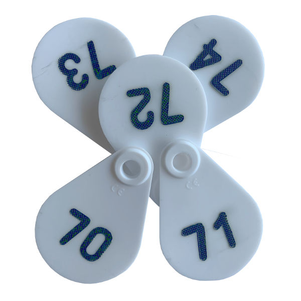 Afbeeldingen van Flexi nekplaatje wit genummerd 482-