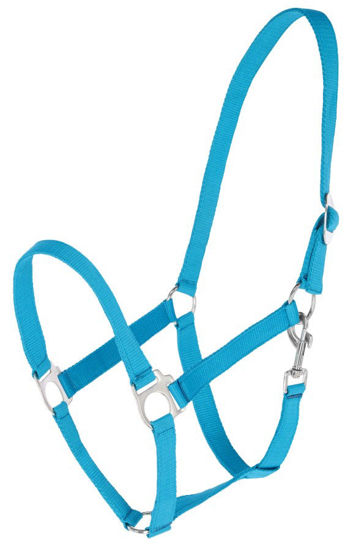 Afbeeldingen van Hippo halster Blauw