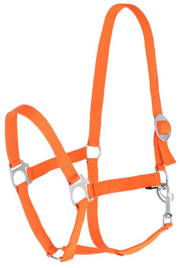 Afbeeldingen van Hippo halster Oranje