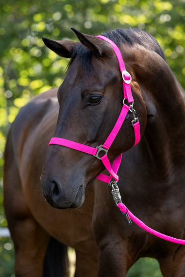 Afbeeldingen van Hippo halster Roze