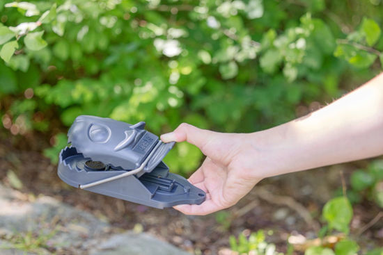 Afbeeldingen van display Rattenval kunststof cit *RatStop* (25 stuks)