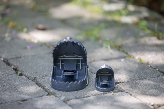 Afbeeldingen van Muizenval kunststof Cit *MouseStop* (2 stuks)