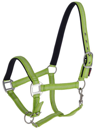Afbeeldingen van Mustang halster 2x verstelbaar groen
