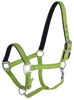 Afbeeldingen van Mustang halster 2x verst. -GROEN - Pony