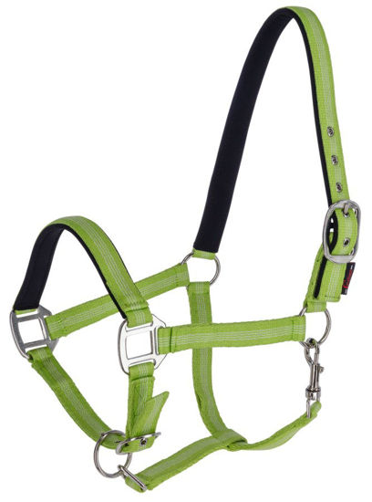 Afbeeldingen van Mustang halster 2x verst. -GROEN - X-Full