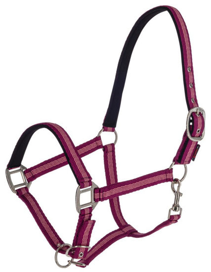 Afbeeldingen van Mustang halster 2x verst. -BRAAM - FULL