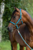 Afbeeldingen van Mustang halster 2x verst. -TURKOOIS - FULL
