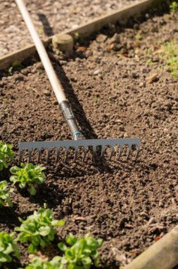 Afbeeldingen van Gardena PureLine Hark FSC 100%