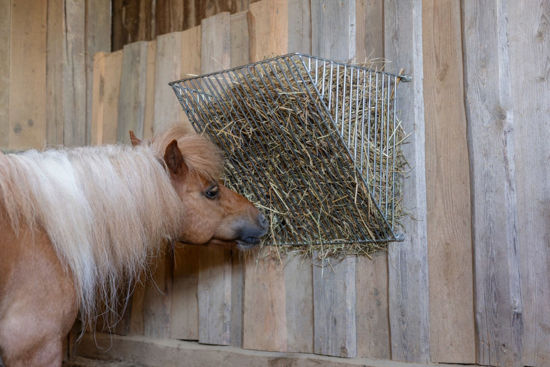 Afbeeldingen van Hooiruif wandmodel fijn (spijlafstand 20mm)
