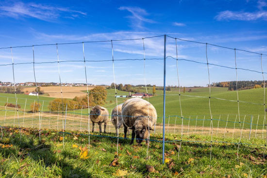 Afbeeldingen van AKO Titan LIGHT Premium blauw/wit DUBB. PEN 90cmx50m