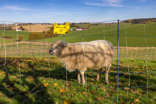 Afbeeldingen van AKO Titan LIGHT Premium blauw/wit ENKELE. PEN 90cmx50m