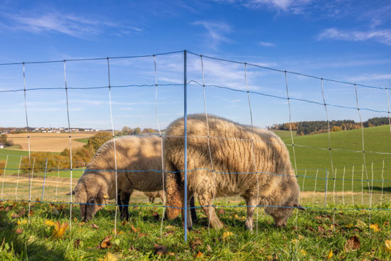 Afbeeldingen van AKO Titan LIGHT Premium blauw/wit ENKELE. PEN 90cmx50m