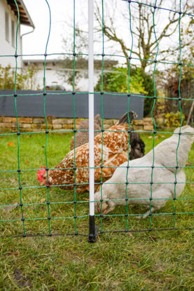 Afbeeldingen van AKO Kippennet Maxi 122cm-25m. dubbele pen Groen/wit