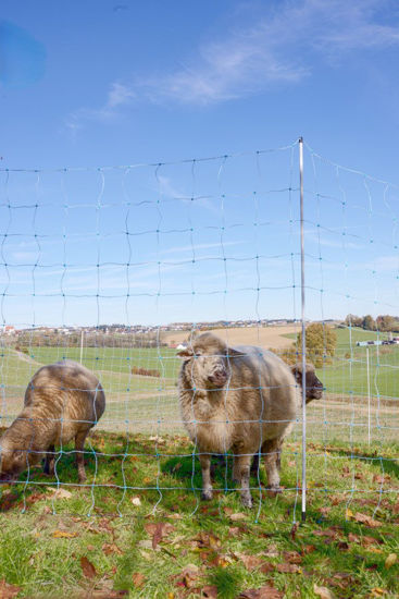 Afbeeldingen van AKO Schapennet OviNet Blauw/wit 170cm x 25m DUBBELE PEN