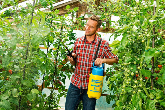 Afbeeldingen van Drukspuit Gloria Prima 3, knst. 3-liter (in display)
