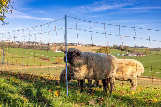 Afbeeldingen van AKO OviNet Premium, 90cm x 50m, oranje/wit,
