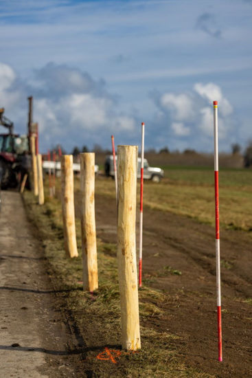 Afbeeldingen van AKO Robiniapaal hoek 250cm hoog  Ø 14-16cm