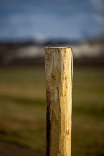 Afbeeldingen van AKO Robiniapaal hoek 250cm hoog  Ø 14-16cm