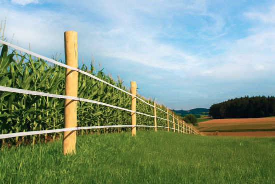 Afbeeldingen van AKO Robiniapaal 150cm hoog  Ø 6-8cm