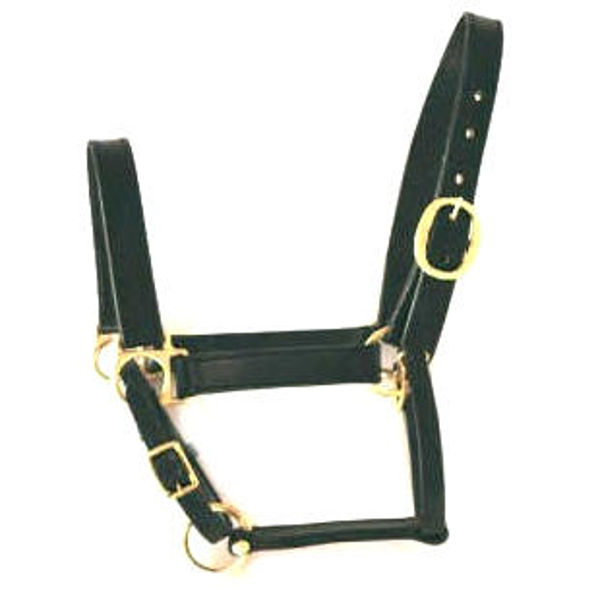 Afbeeldingen van Halster leer, ZWART - Cob