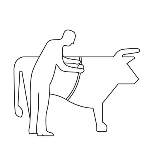 Afbeeldingen van Veemeetband 2,50m