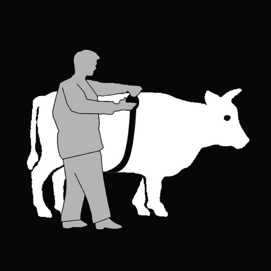 Afbeeldingen van Veemeetband 2,50m