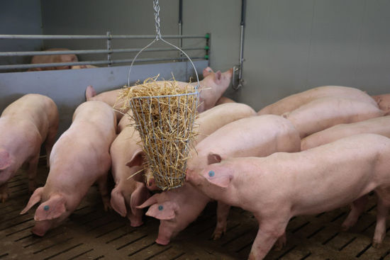 Afbeeldingen van Hooiruif /voederkorf / groenvoertrog gegalvaniseerd, 50cm