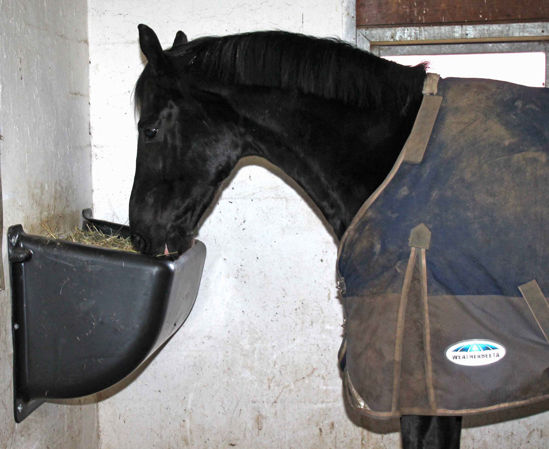 Afbeeldingen van Hooruif, slowfeeder, kunststof 140L