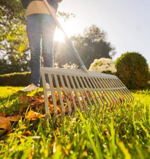 Afbeeldingen van Gardena PureLine Grashark FSC 100%