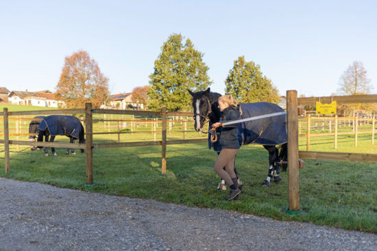 Afbeeldingen van AKO Premium poortset FLEXIGATE green 6mm touw