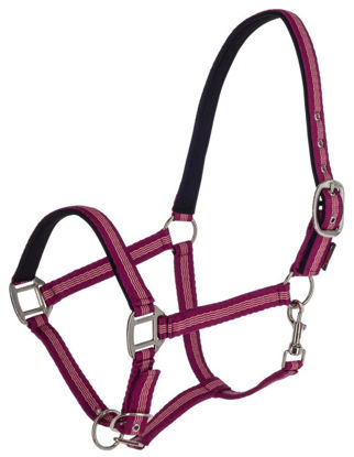 Afbeeldingen van Mustang halster 2x verstelbaar braam