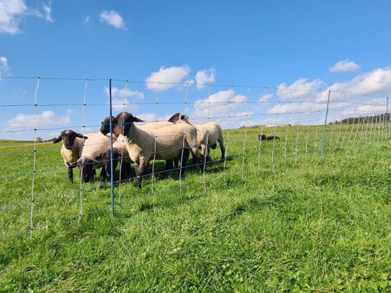 Afbeeldingen van AKO Schapennet TitanNet Premium Vario