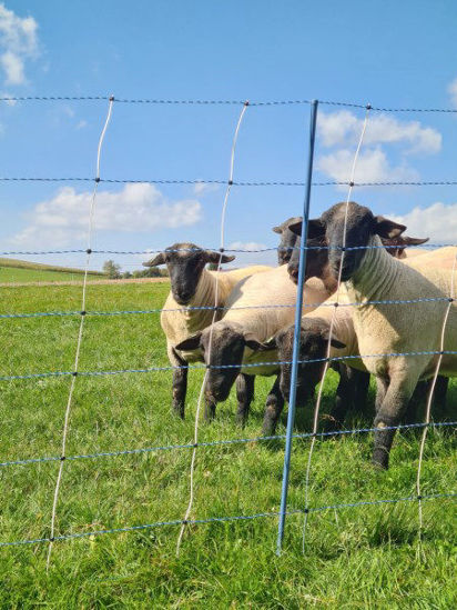 Afbeeldingen van AKO Schapennet TitanNet Premium Vario